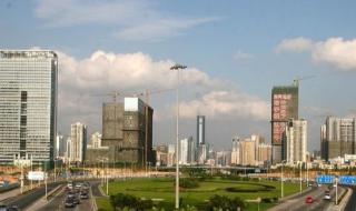 柴犬打架排第几 全国打架排行榜